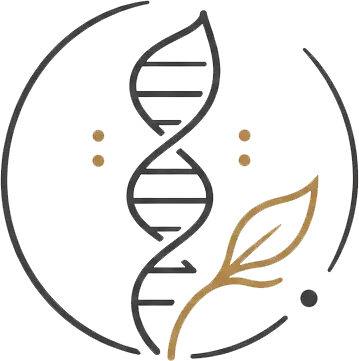 Personalised Skin Programs